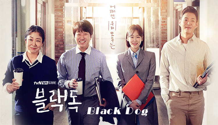 韓劇《Black Dog》